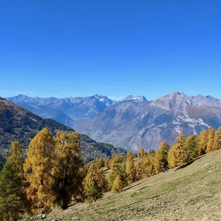Valley-view With Balcony * Nendaz