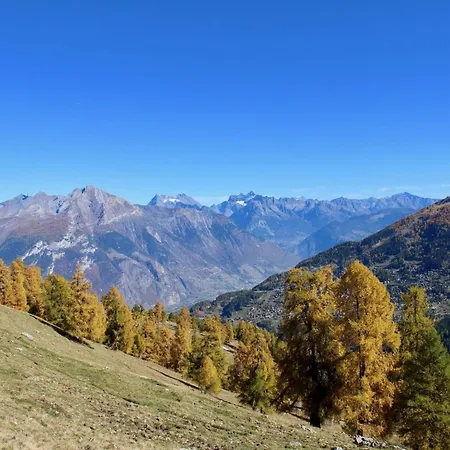 Valley-view With Balcony Nendaz